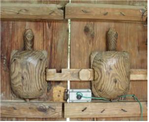 ▲ 최씨고가의 거북 모양의 대문 잠금장치. 왼쪽 거북의 목을 잡아 올리고 닫으면 홈에 걸려 잠기는 구조로 되어있다.