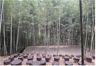 ▲ 대나무 숲속에 자리 잡은 대숲극장 무대