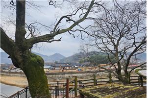 ▲ 다정가 안내판이 있는 쉼터. 사수천 건너로 남사마을이 보인다